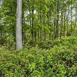 Golfparken